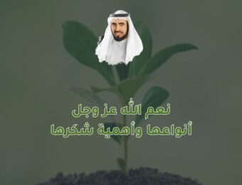 نعم الله عز وجل